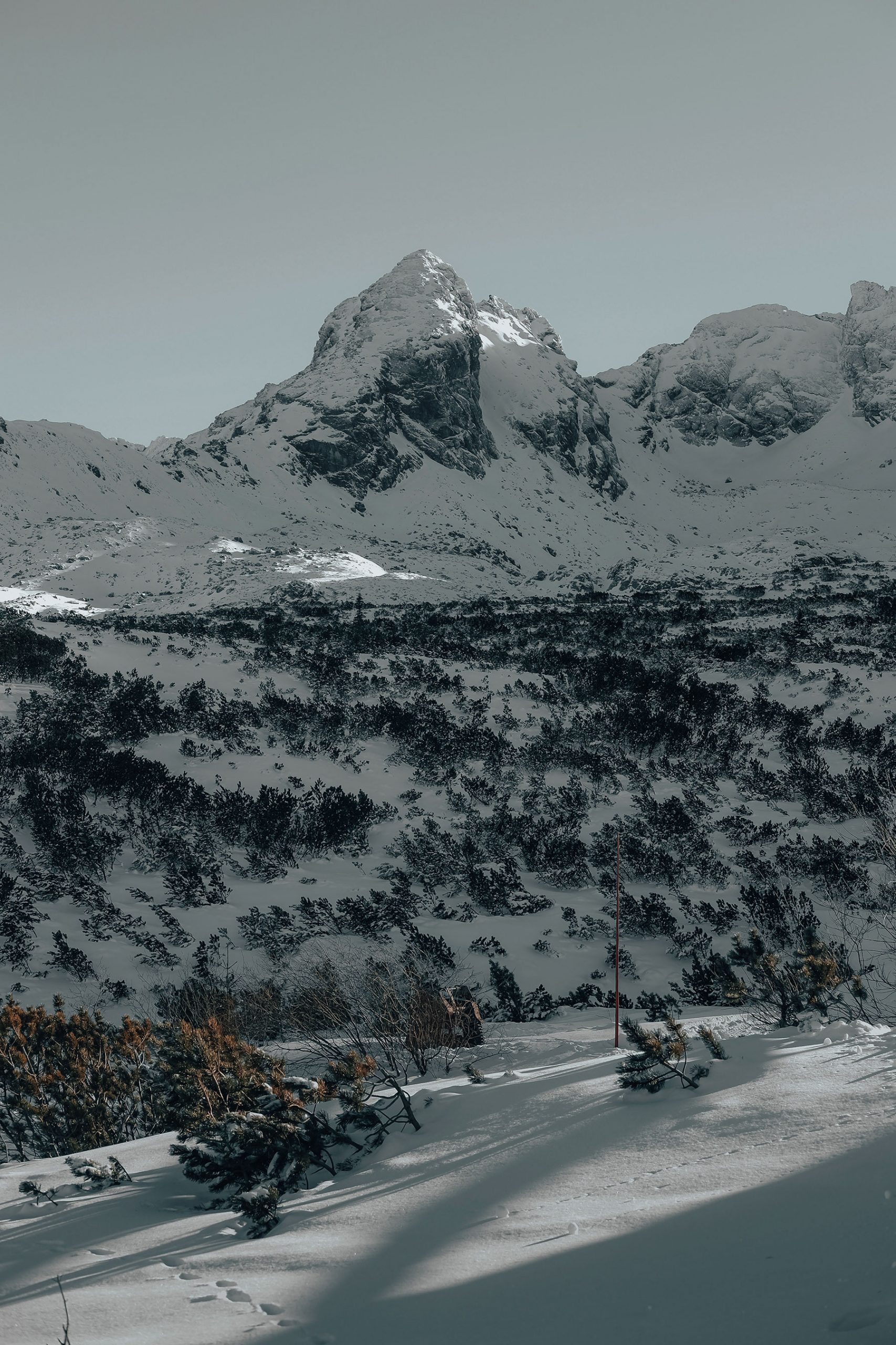 Tatry