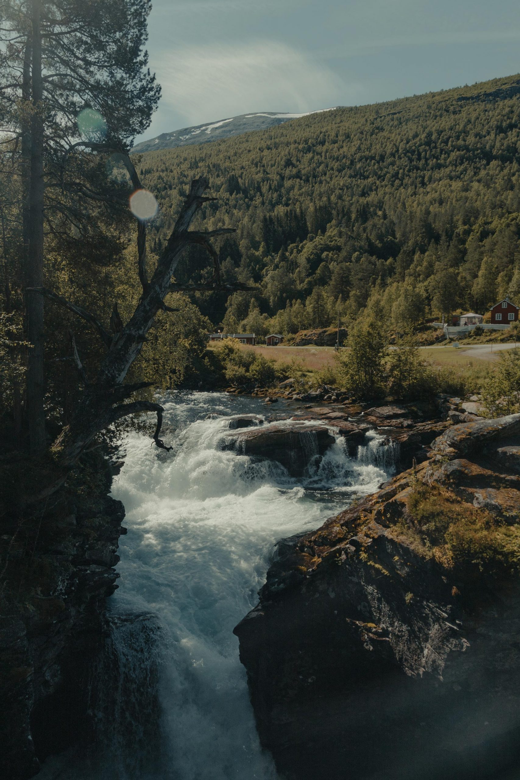 Norwegia